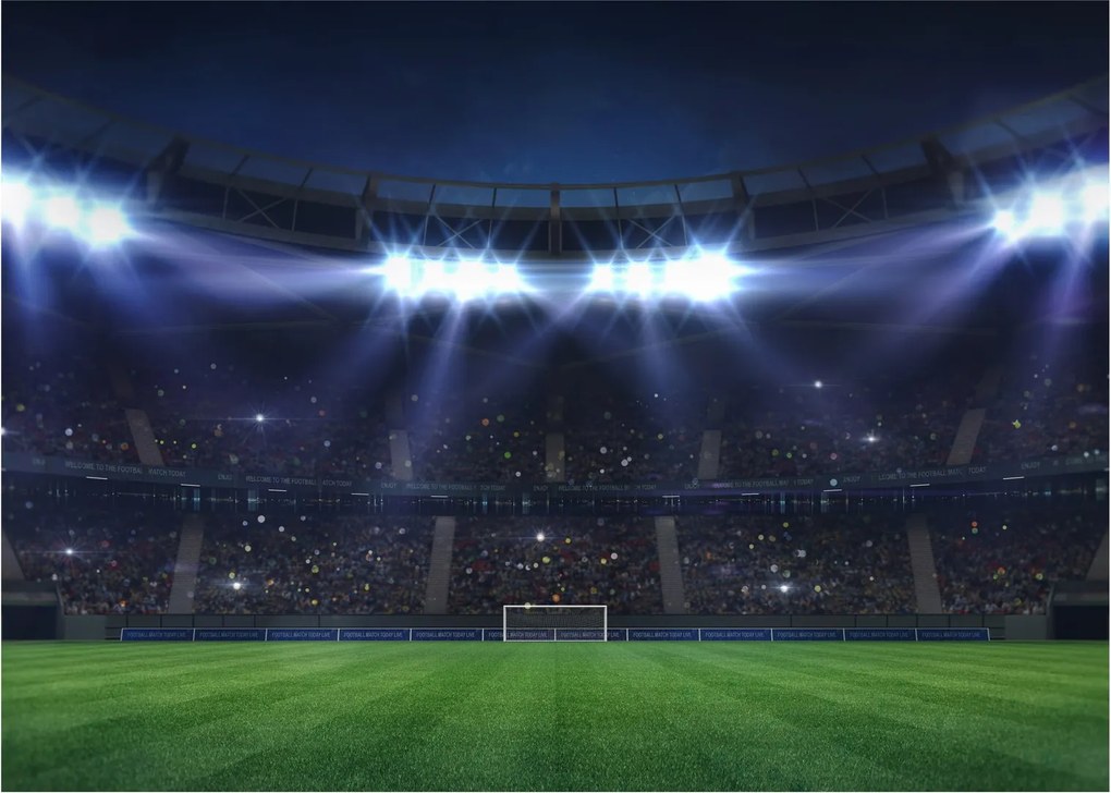 Kép - Labdarúgó stadion (70x50 cm)