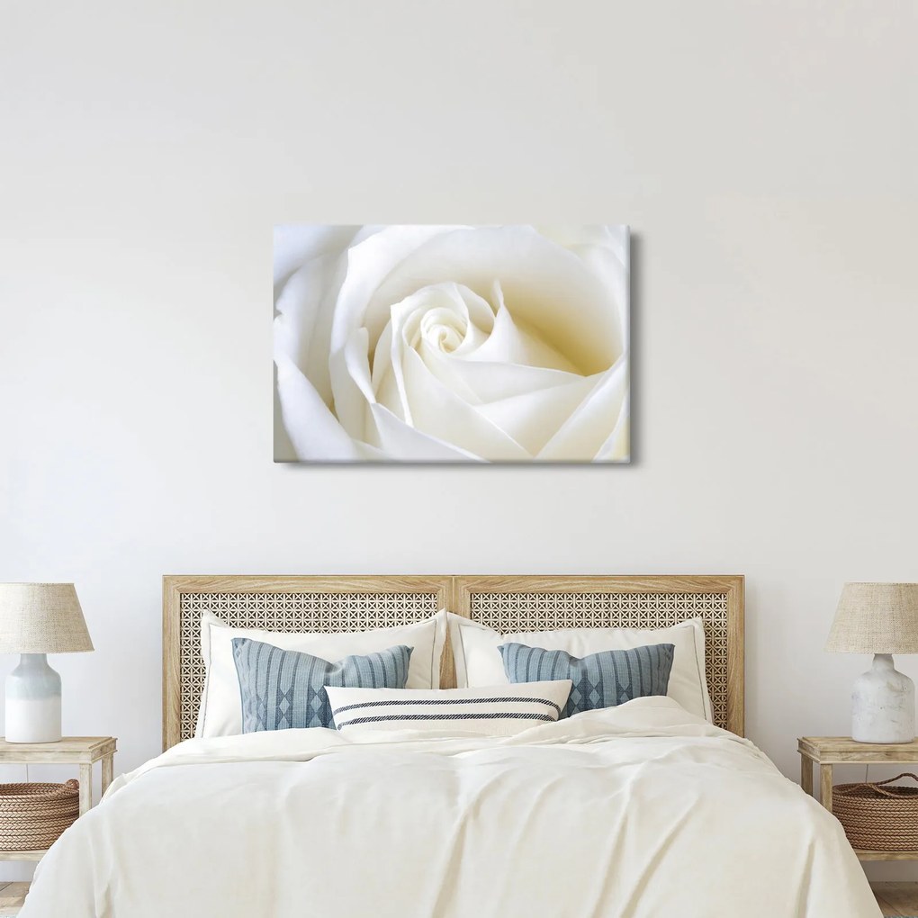 Egy fehér rózsa képe (90x60 cm)