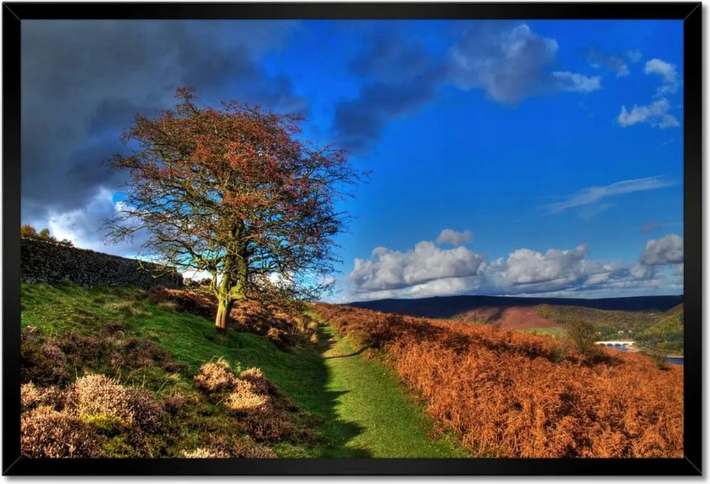 Poszterek keretben 60x40 Fa a kilátásban
