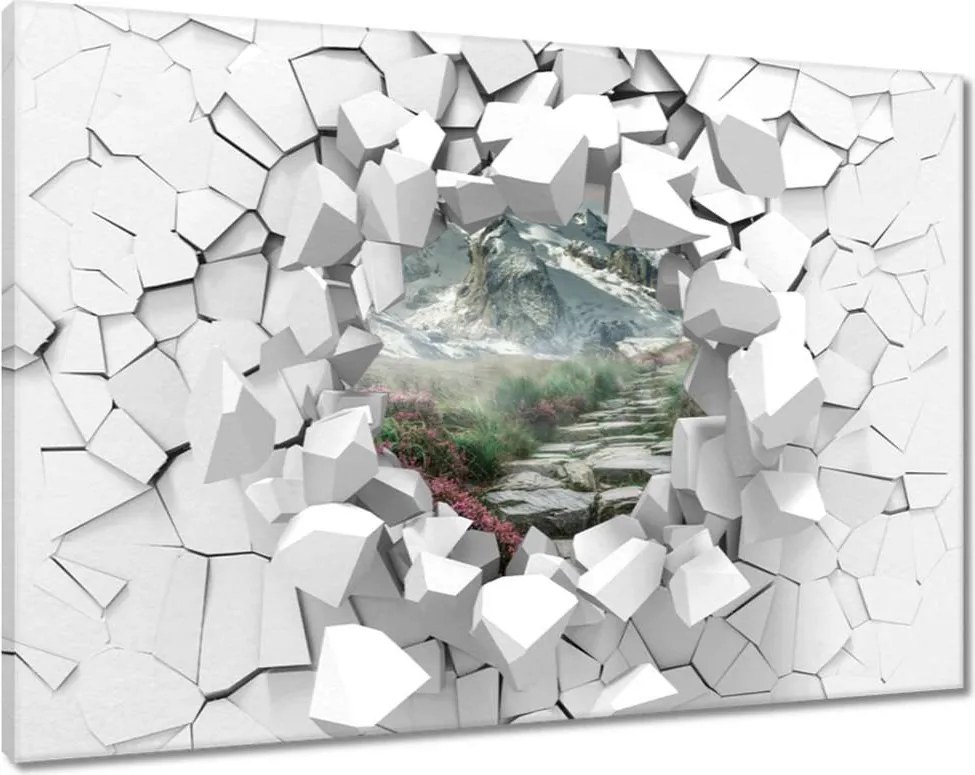 Festmények 120x80 Hegyi kilátás Tájkép Köd