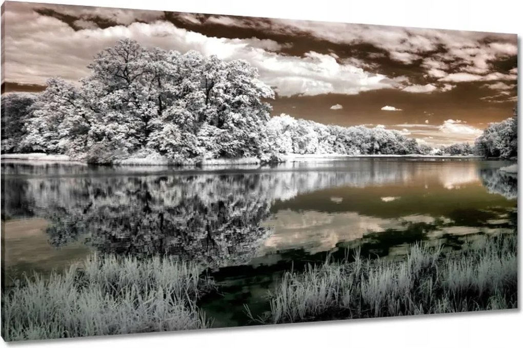 Festmények 120x70 Tájkép Infravörös Ir