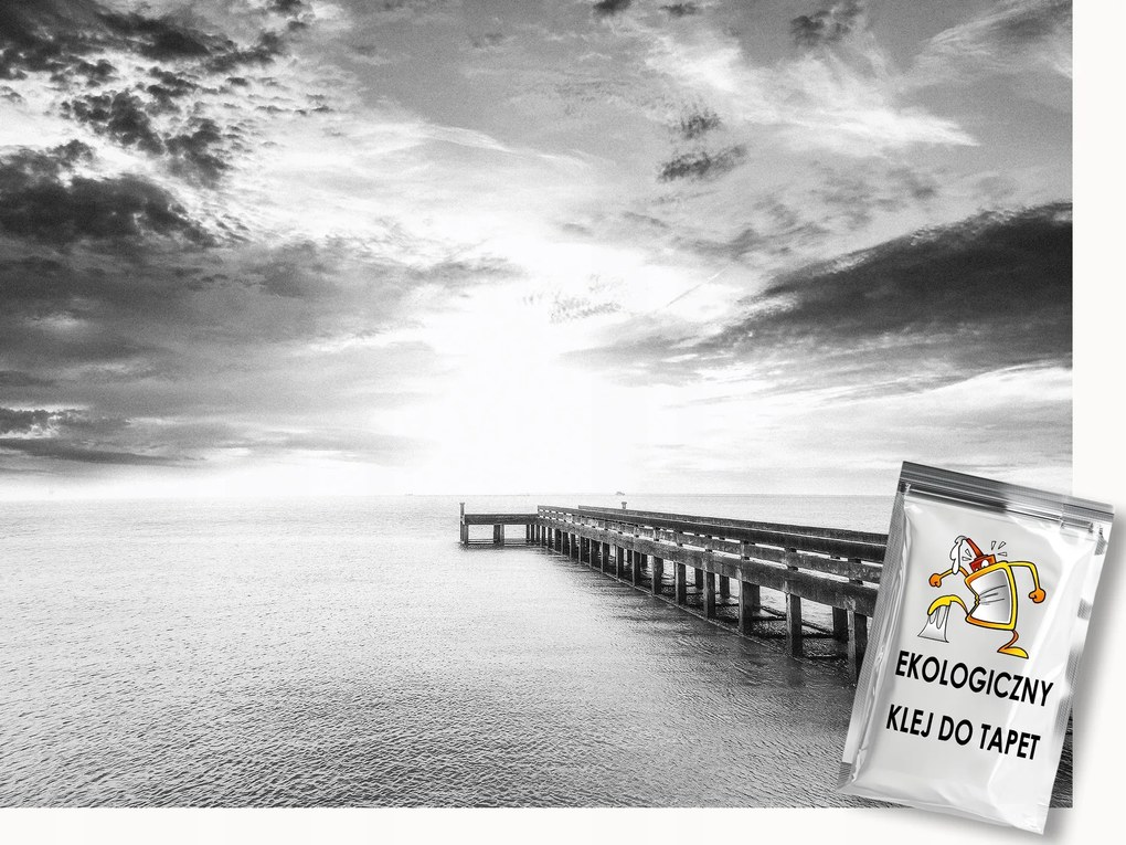 Fotótapéta Flizelina Tájkép Természet Híd Fekete-Fehér 150x105 ragasztó