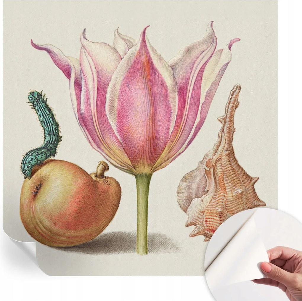 Öntapadós Dekoratív Fotótapéta Hálószobába Természetes szimbiózis 250x250