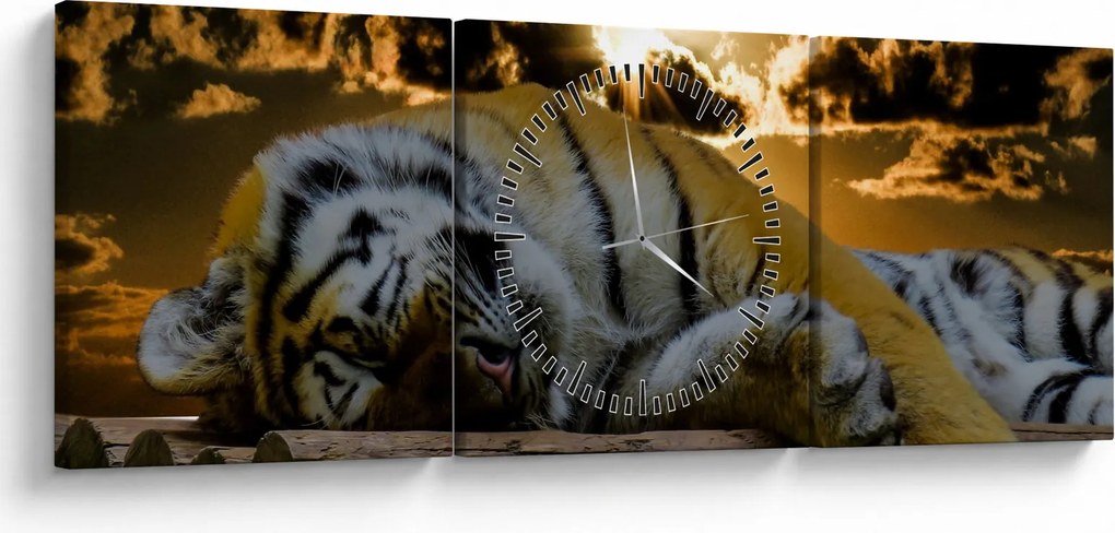 Alvó tigris képe (órával) (90x30 cm)