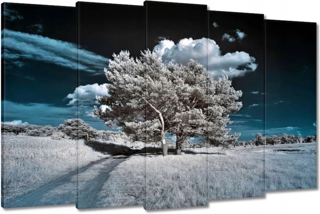 Festmények 150x95 Fa