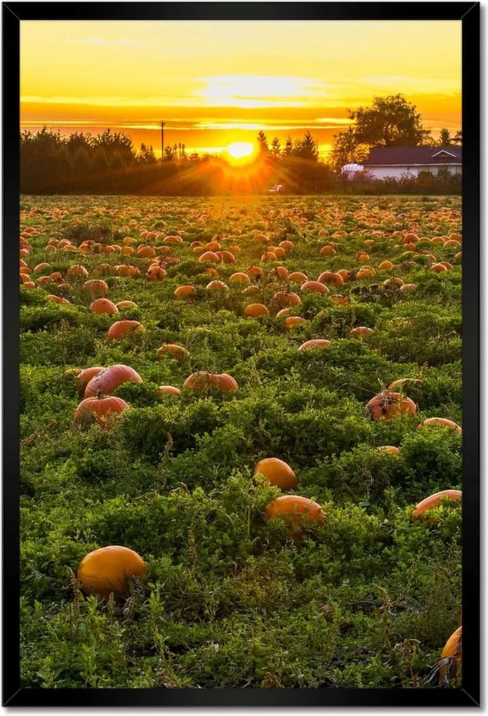 Poszterek keretben 40x60 Tájkép Látvány