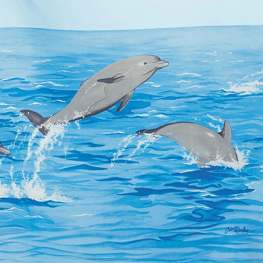 Zuhanyfüggöny 120x200 cm Nemo – Spirella