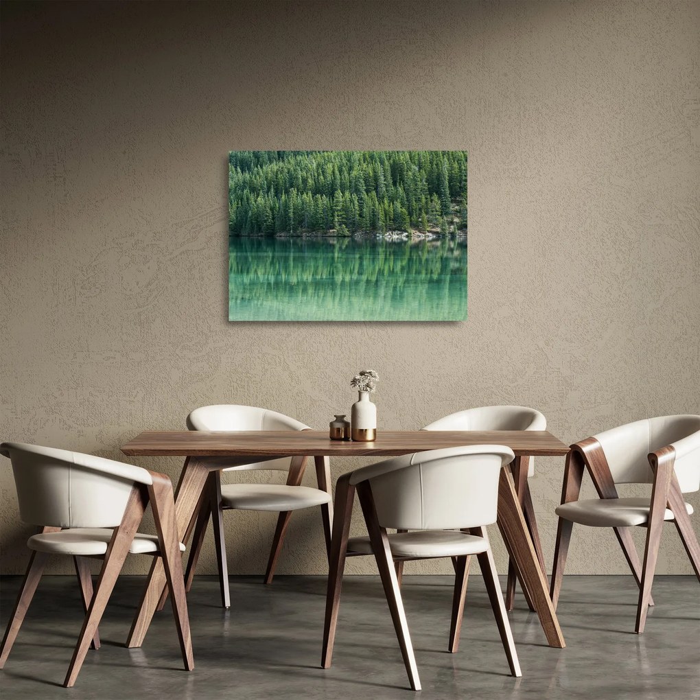 Kép - Tűlevelű a tónál (üvegen) (70x50 cm)