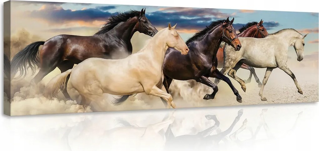 Vászonkép 145x45 Lovak futás mozgás szabadság erő por sztyepp naplemente dinamika