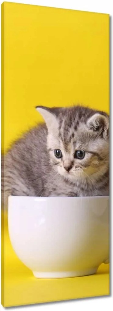 Vászonkép 40x100 Cica