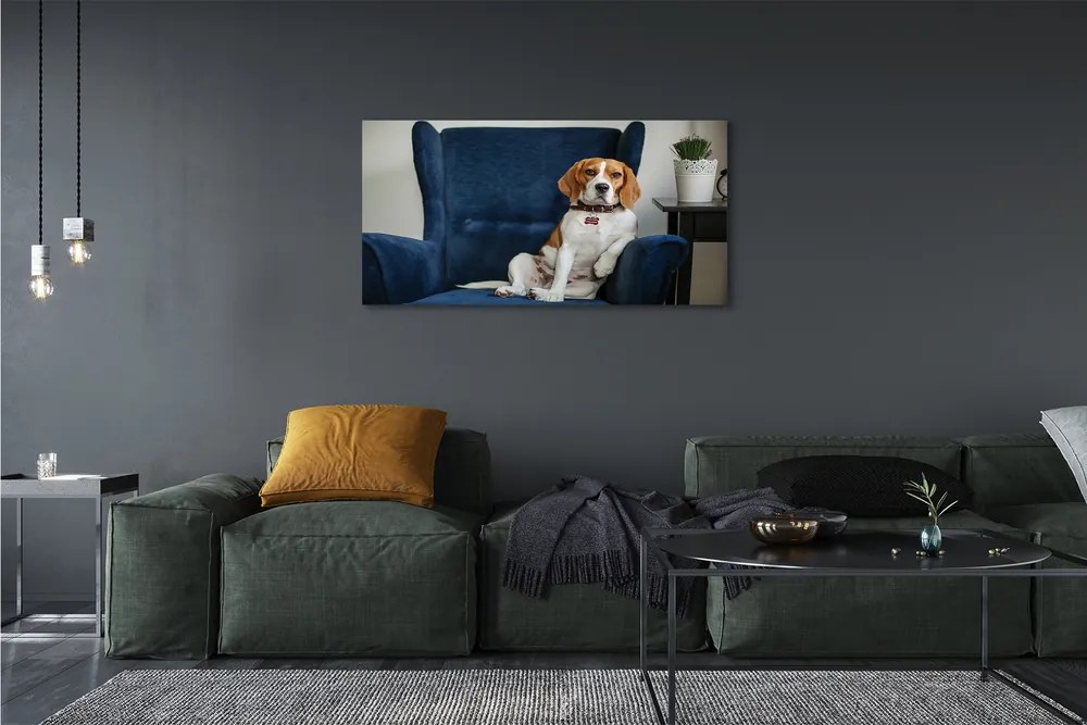 Canvas képek ül kutya 120x60 cm