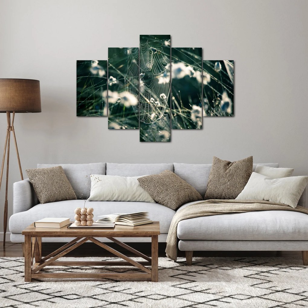 Kép - Pókháló (150x105 cm)