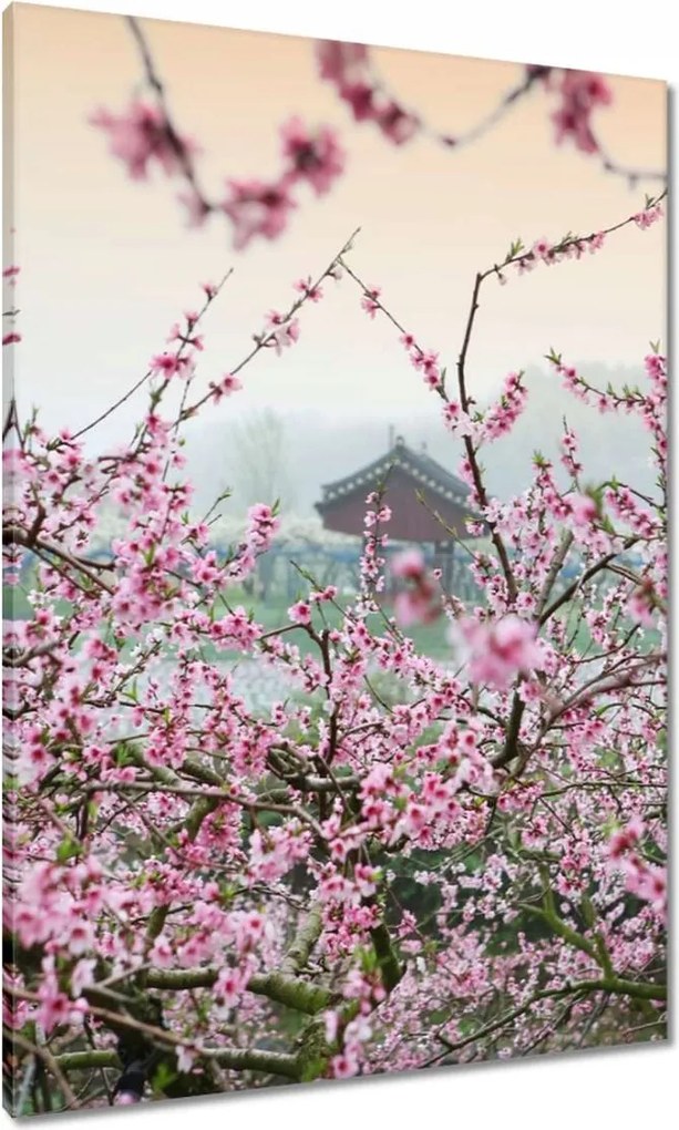 Festmények 70x100 Japán Orient Buddhizmus