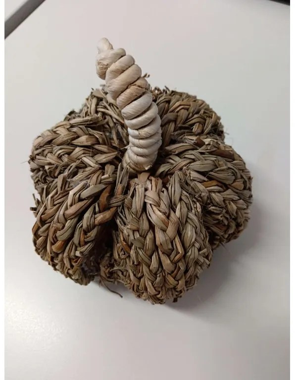 AKCIÓ Dísztök PUMPKIN COACH GRASS II. osztály