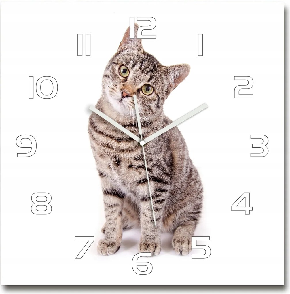 Nagy csendes óra edzett üvegből Macska 60x60 cm