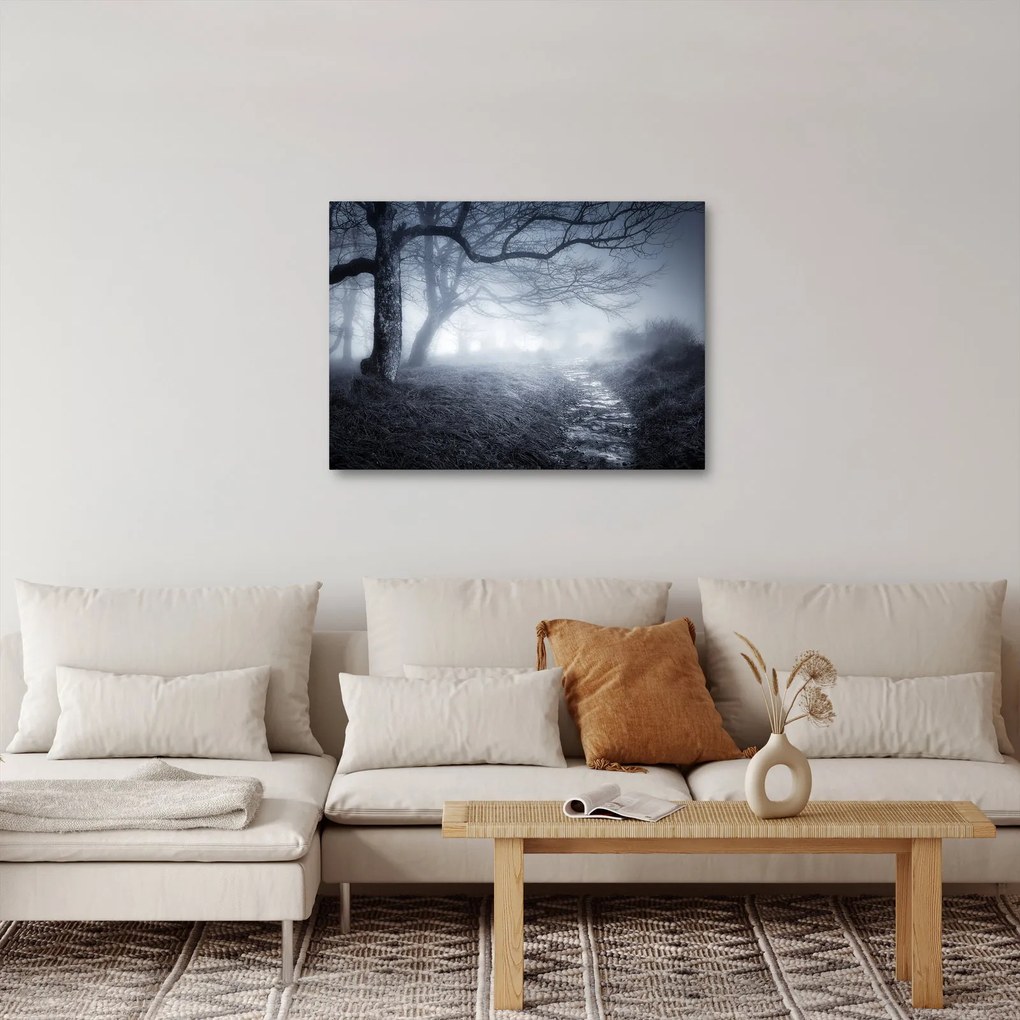 Kép - Út a ködben (70x50 cm)