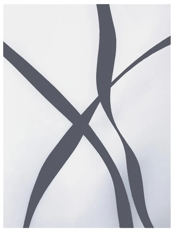 Zuhanyfüggöny 180x200 cm Ribbon – Spirella