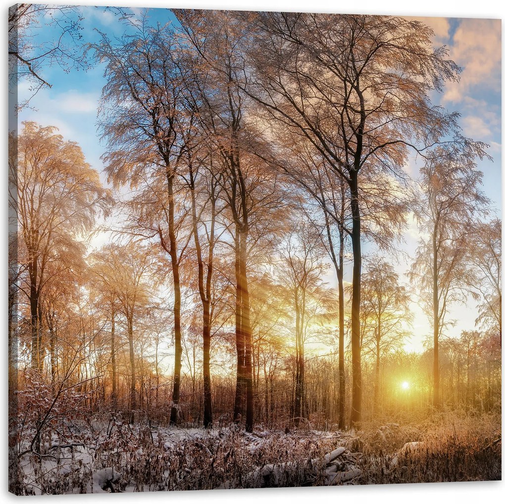 Vászonkép Fák Tél Felkelő Nap 50X50 cm Ideális ajándék