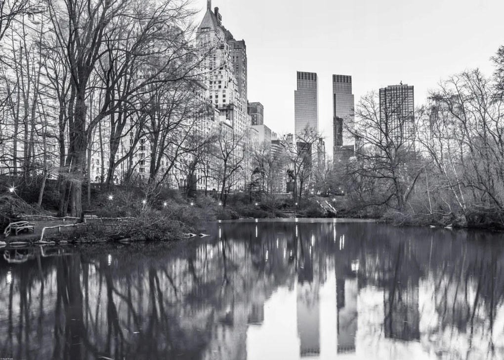 Poszter 70x50cm Központi park Manhattan panorámával 4, Assaf Frank