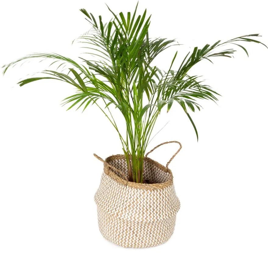 Zic Zac világos tengerifű tárolókosár, ⌀ 35 cm - Compactor
