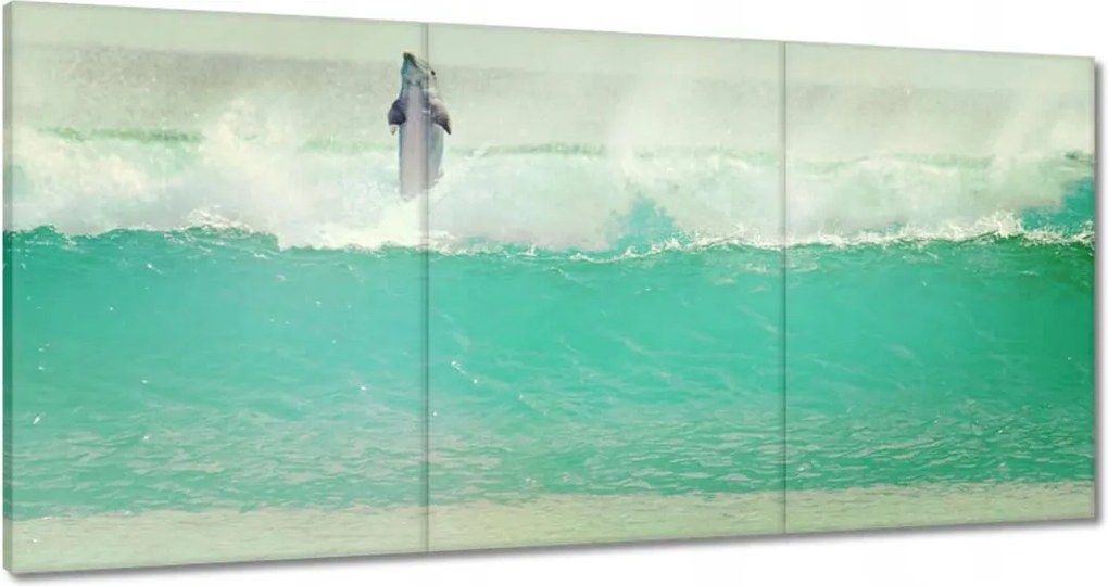 Vászonkép 180x90 Szimpatikus delfin óceán