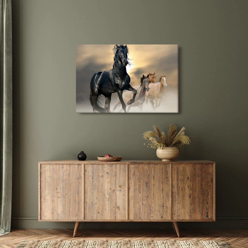 Kép - Lovak (90x60 cm)