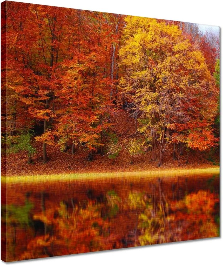 Vászonkép 40x40 Őszi táj