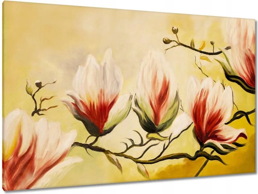 Festmények 120x80 Magnólia