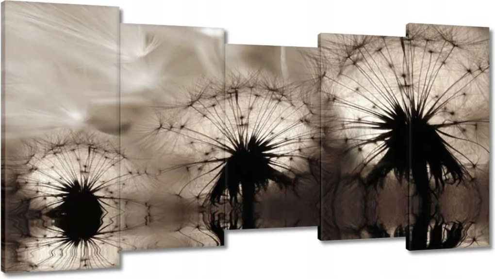 Képek 150x80 Pitypangok szépia papírsárkányok