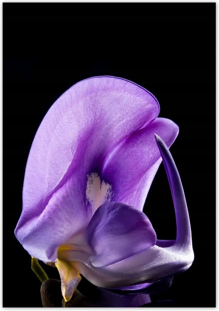 Poszterek 70x100 Nőnap Ajándék Love