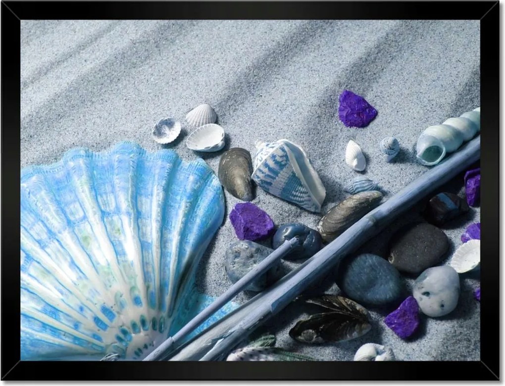 Poszterek keretben 40x30 Kompozíció kagylóval