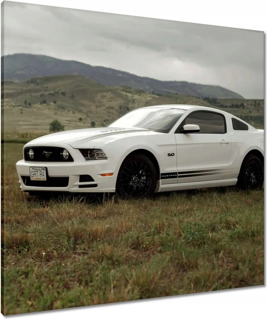 Vászonkép 80x80 Fehér Ford Mustang