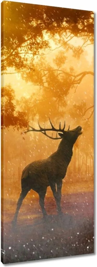 Vászonkép 40x100 Szarvas az erdőben