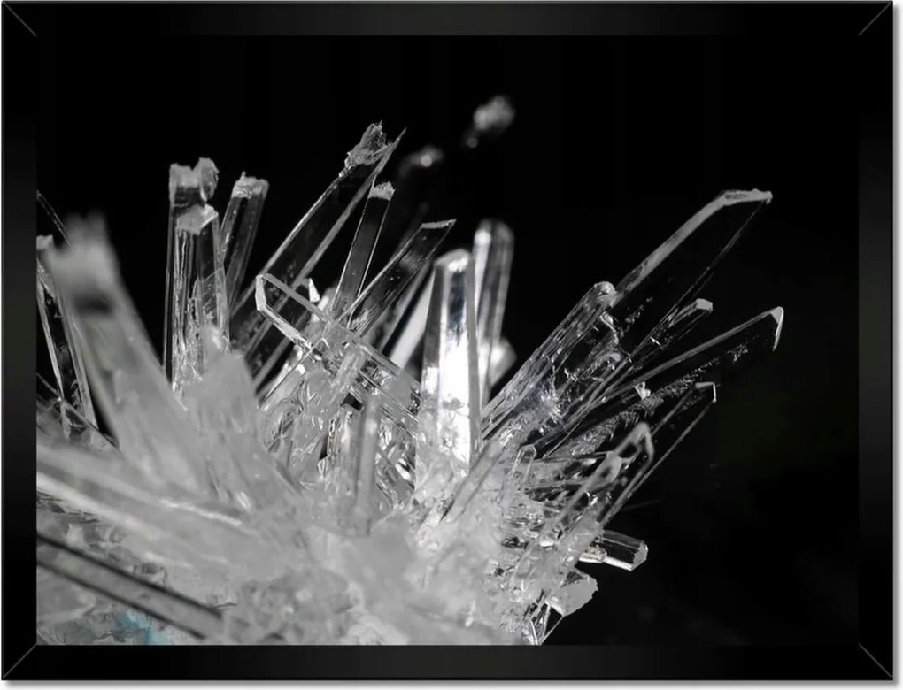 Poszterek keretben 40x30 Makrofotó MacroFoto