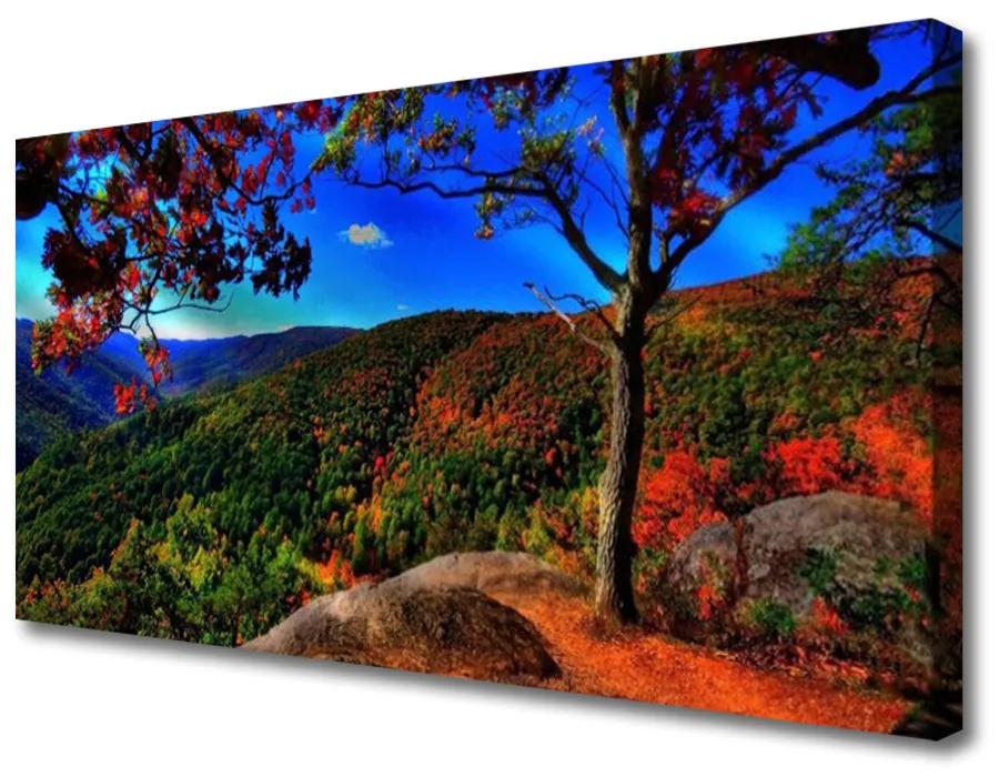 Vászonkép nyomtatás Mount Forest Nature 120x60 cm