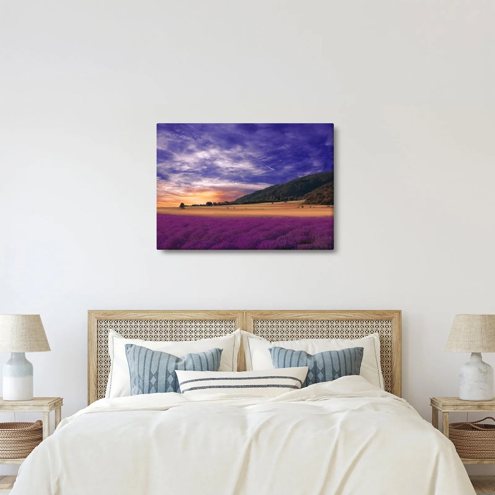 A levendula rét képe (70x50 cm)