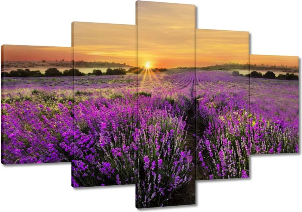 Vászonkép 120x80 Levendula Naplemente