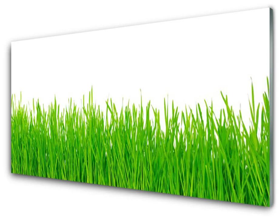 Fali üvegkép Grass Nature Plant 140x70 cm