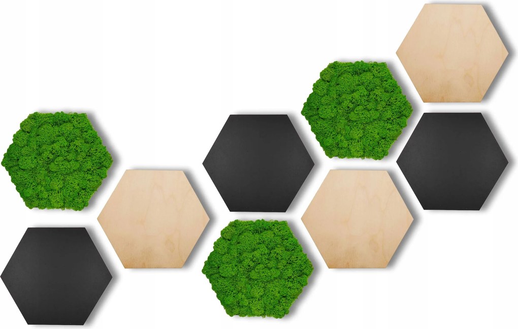 Hexagon Szett Mohával 9db-os Prémium