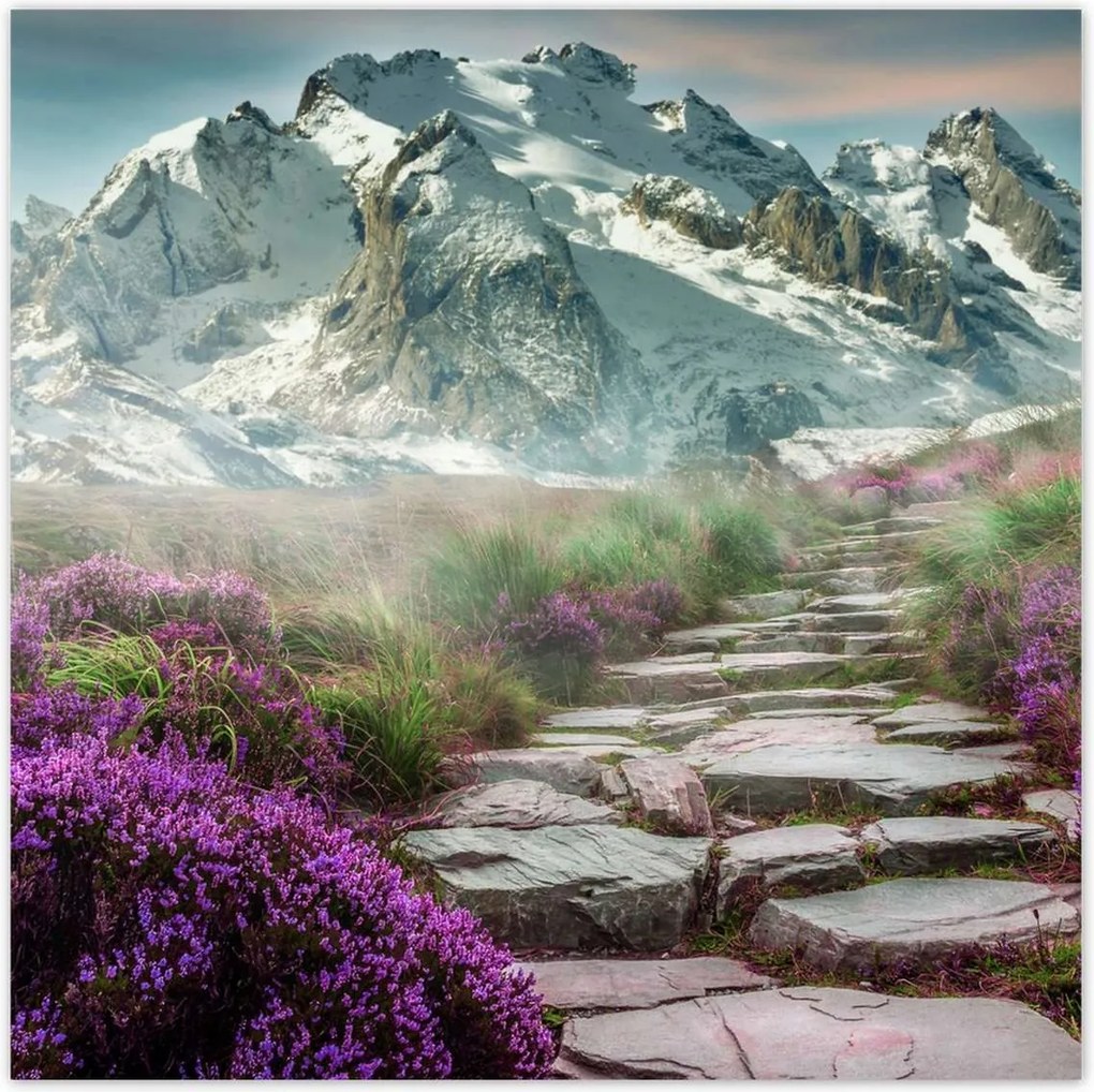 Poszterek 30x30 Hegyi táj Tájkép