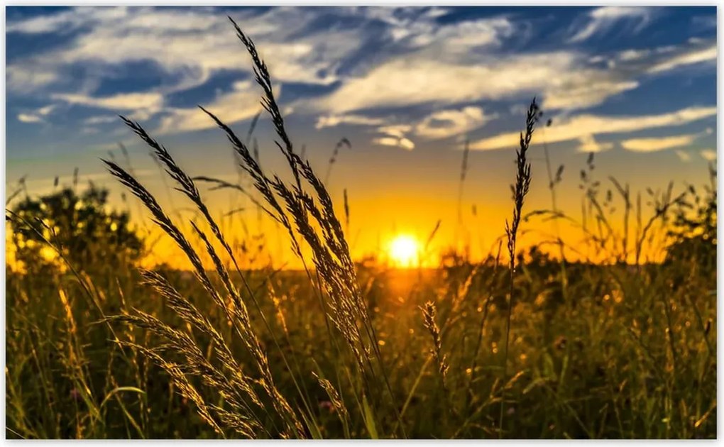 Fotótapéták 416x254 Naplemente a füvek között