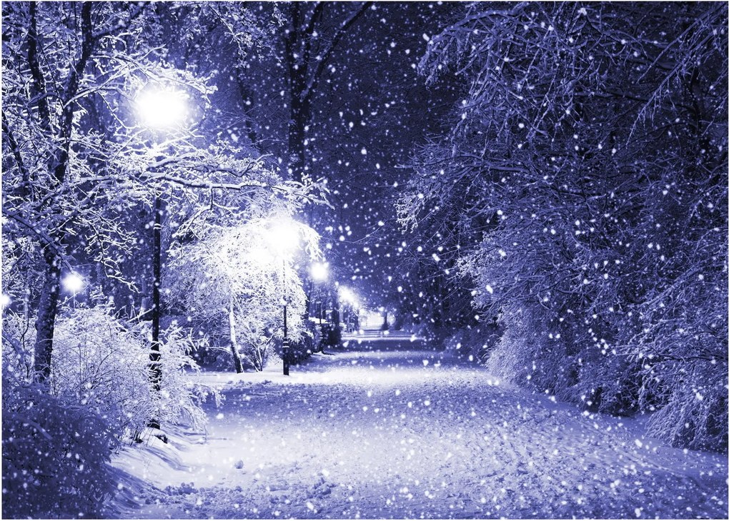 Kép - varázslatos téli éjszaka (70x50 cm)