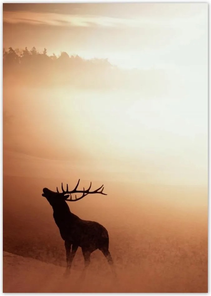 Poszterek A4 Pion Szarvas az erdő szélén