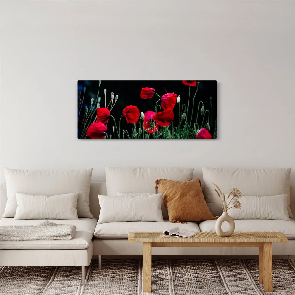 Kép - Pipacsok tánca (120x50 cm)