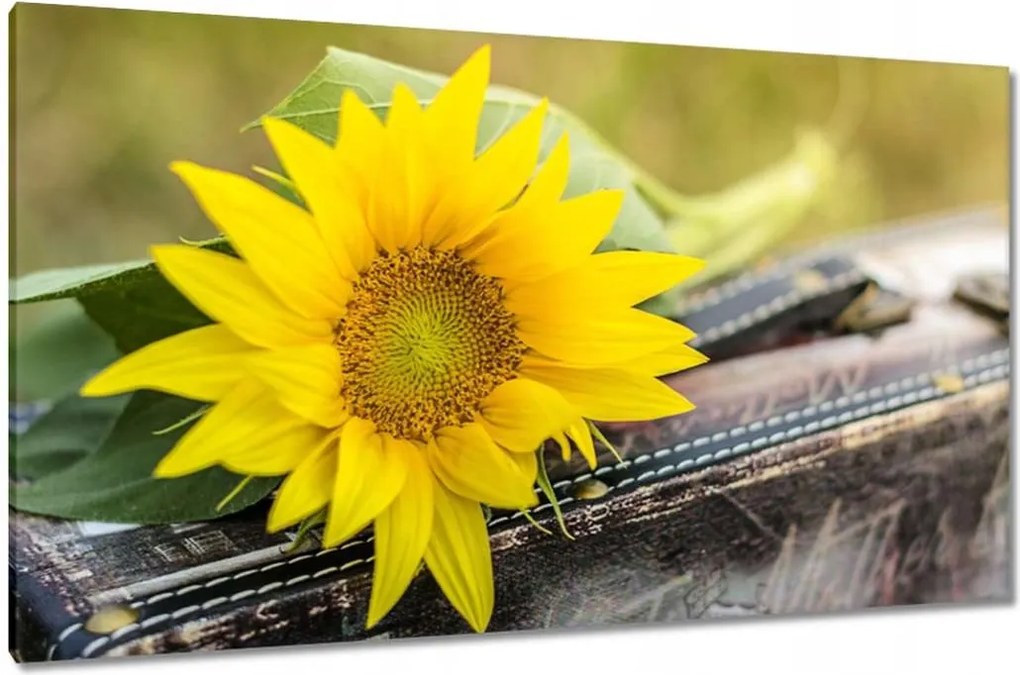 Vászonkép 120x70 Napraforgó a bőröndben