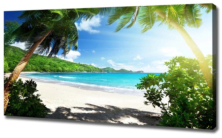 Vászon nyomtatás Seychelles strand pl-oc-120x60-f-61788906