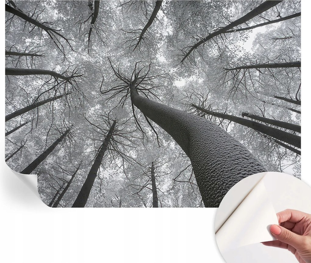 Öntapadós fotótapéta Nappali és Hálószoba Irodába Téli tájkép 208x146