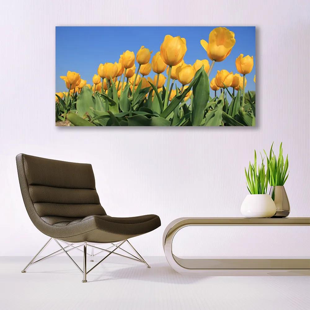 Modern üvegkép Tulipán virágok Plant 100x50 cm