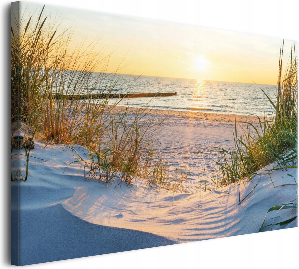 Modern fali dekoráció Vászonkép tenger tengerpart dűnék Tájkép