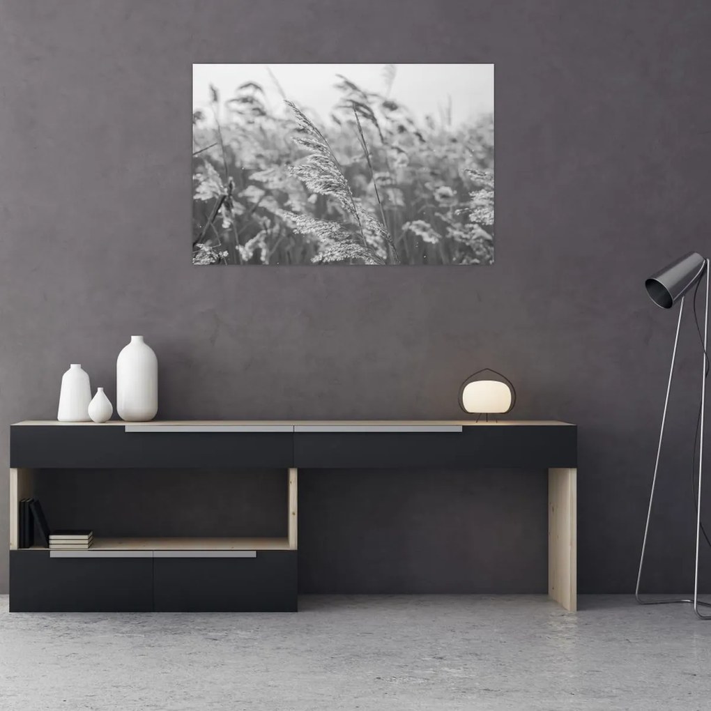 Kép - Fű a szélben (90x60 cm)